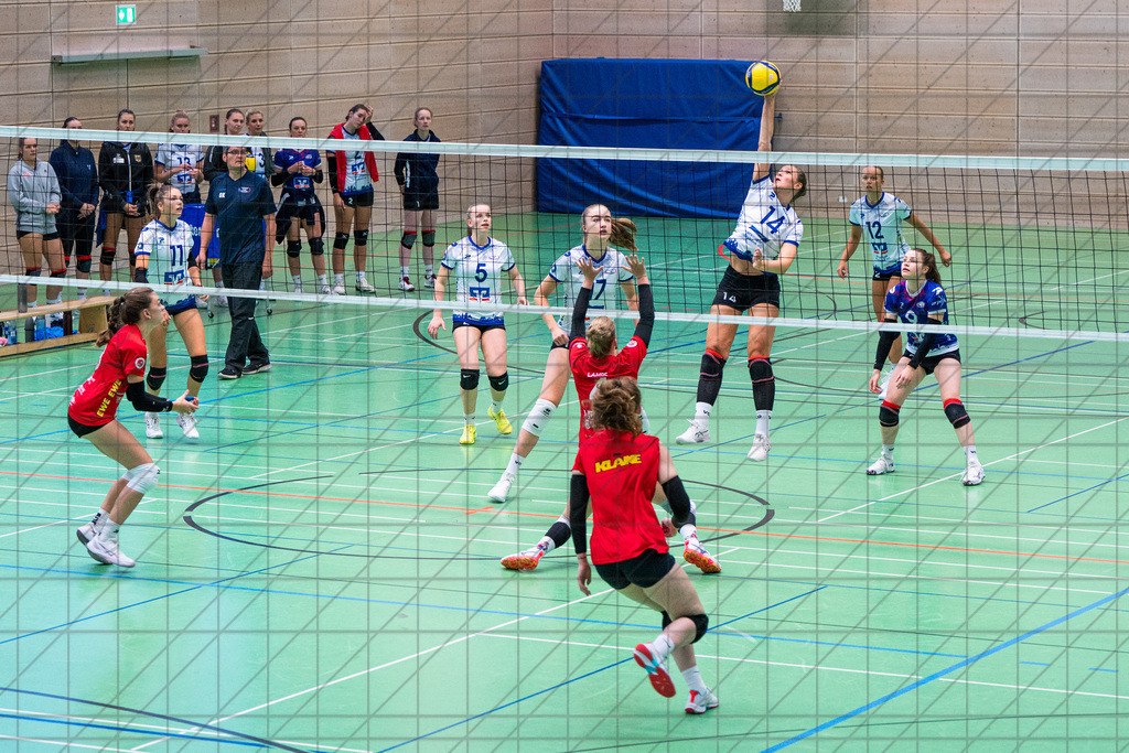 2. VBLF Nord 25/26 | Testspiel | VC Osnabrück vs. TV Cloppenburg | KOOP Maria (VC Osnabrück e.V. #14)//  13.09.25: 2. VBLF Nord 25/26 | Testspiel | VC Osnabrück vs. TV Cloppenburg / Osnabrück / Deutschland  //   CREDIT:www.bullenfotos.de, Martin König, Hörner Weg 40, D-49078 Osnabrück, +4917663732967 // Nutzung und Weitergabe nur zu den vereinbarten Zwecken. Presseanfragen an Ersteller. Alle Rechte beim Ersteller. Honorierung nach MFM. - Realisiert mit Pictrs.com