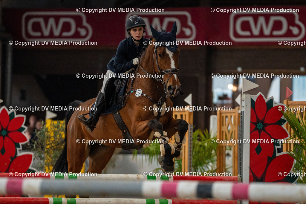 Kranichstein Tag 1-229 | dv-media-shop - Realisiert mit Pictrs.com