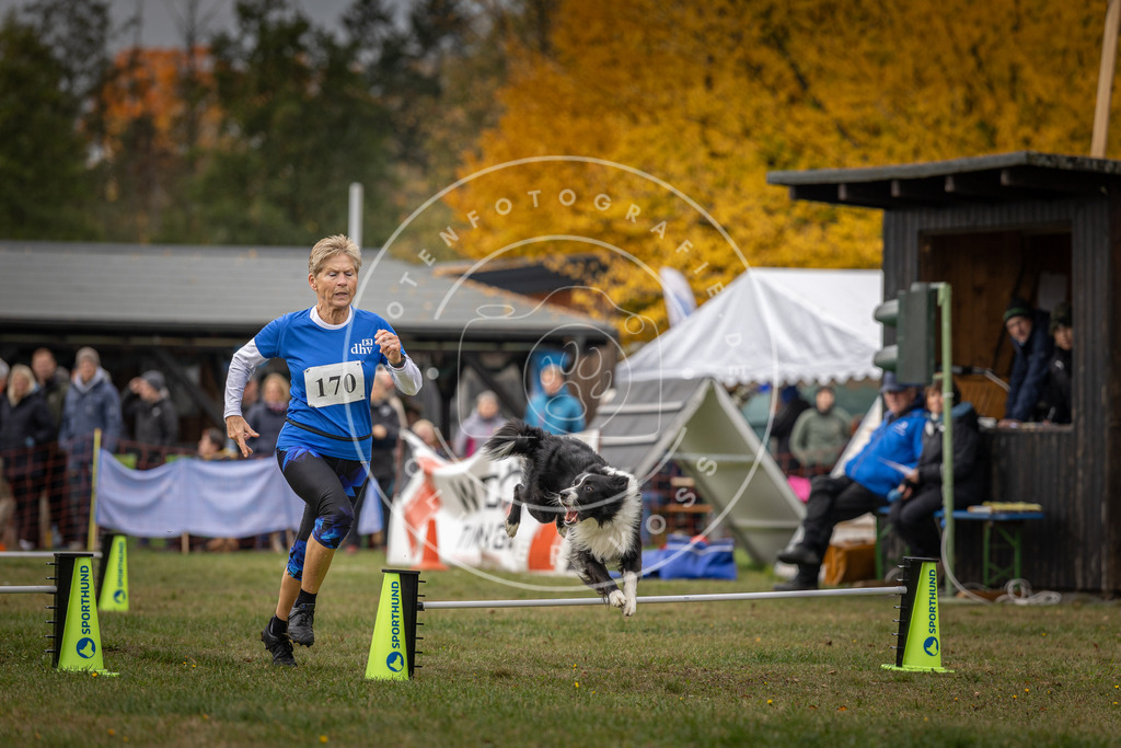 Pfotenfotografie_DV3A5517 | Hundefotografie, Tierfotograf, Pfotenfotografie, Fotoshooting Hund, Hunde Portrait, Hundesport, Hundeportraits, Heideshooting, Hunde, Sportfotograf, Hundefotograf, Turnierhundsport, THS,  - Realisiert mit Pictrs.com