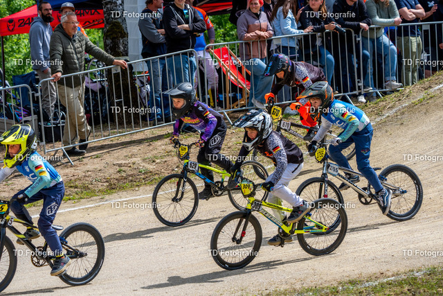 BayBMX2026-06695 | Fotogalerie von Thomas Dettweiler mit Eventbildern und lizenzfreien Fotos. Perfekt als Wandbild, für Büro, Website oder private Nutzung. - Realisiert mit Pictrs.com