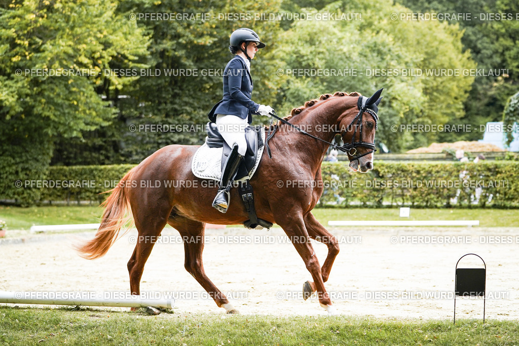 DSC07024 | Pferdegrafie