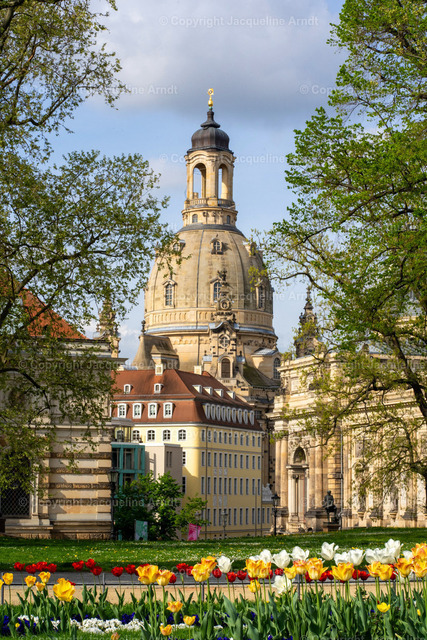 DSC05868 Kopie | Fotografie Photography Dresden Photoshooting  Fotoshooting Fotografin Dresdencity Bilder  Foto Dresdenvideos Kalender Postkarten Bilderdownload Portrait Hochzeitsfotografie Familienfotos Bewerbungsbilder Studiofotografie Fotograf Dresdenbilder Business - Realisiert mit Pictrs.com