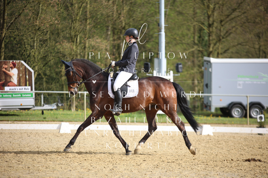 IMGT7169 | pl-fotografie