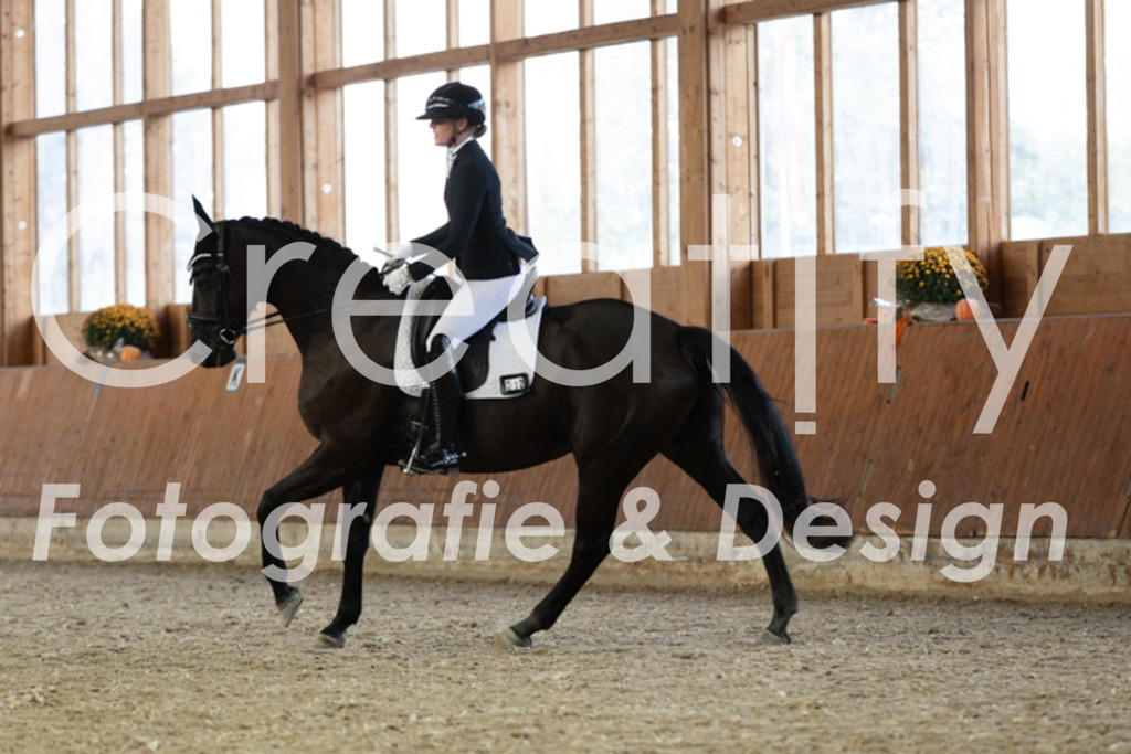 IMG_5639 | Creatify Fotografie