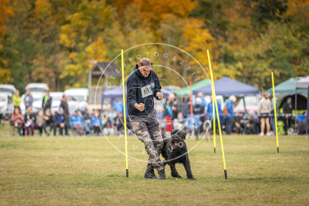Pfotenfotografie_DV3A5297 | Hundefotografie, Tierfotograf, Pfotenfotografie, Fotoshooting Hund, Hunde Portrait, Hundesport, Hundeportraits, Heideshooting, Hunde, Sportfotograf, Hundefotograf, Turnierhundsport, THS,  - Realisiert mit Pictrs.com
