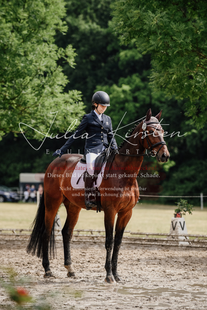 DSC_9570 | Pferde- und Turnierfotografie in Westsachsen. Pferdeportraits, Auftragszeichnungen und intuitive Kunst.