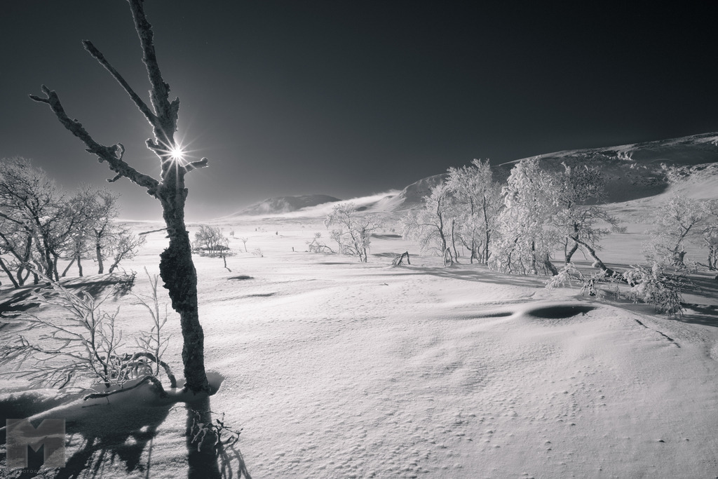 Eissonne im Fjäll | Landschafts- und Tierfotografie zu allen Jahreszeiten. Und immer die Schönheit des Lichtes im Auge... - Realisiert mit Pictrs.com