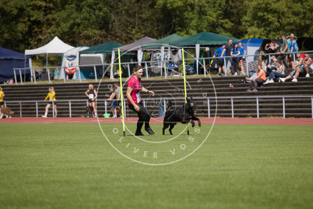 0L8A3293 | Hundefotografie, Tierfotograf, Pfotenfotografie, Fotoshooting Hund, Hunde Portrait, Hundesport, Hundeportraits, Heideshooting, Hunde, Sportfotograf, Hundefotograf, Turnierhundsport, THS,  - Realisiert mit Pictrs.com