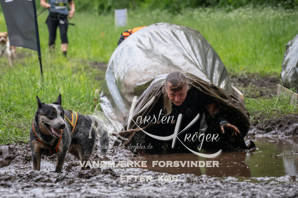 1253_ZZ94057 | kk-dogfotos