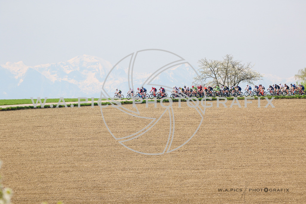Kirschblütenrennen Wels | WELS, AUSTRIA, 23.04.2023 - ROADCYCLING, OERV RADLIGA, 61. Kirschblütenrennen Wels, Image shows 
Photo: SMP/Andreas Willdoner