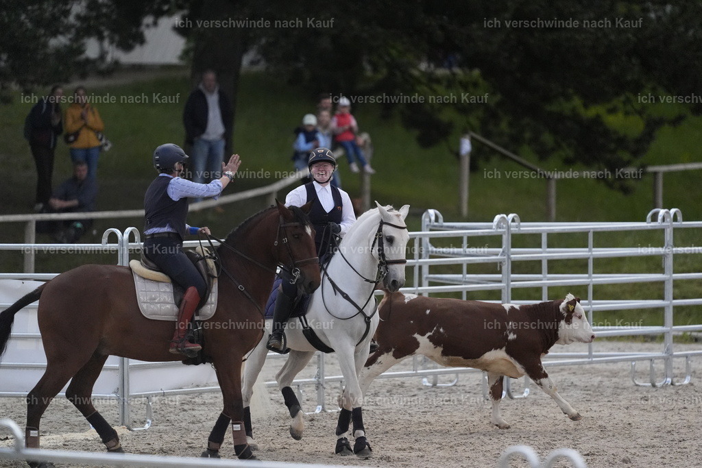 PI26_COW_Stoibphotography_DSC5896.JPG | working equitationturnier fotograf videograf stoibphotography marixx film working equitation deutschland reitsport turnierfotografie eventfotografie equestrian events