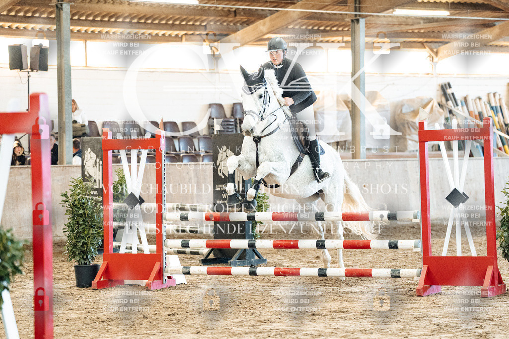 CK904475 | Turnierfotografie Pferdefotografie Trier Rheinland-Pfalz Pferdesport Reitsport Tierfotografie Sportfotografie Pferdevideo Pferdevideografie Equestrianvideography equestrianphotography  - Realisiert mit Pictrs.com