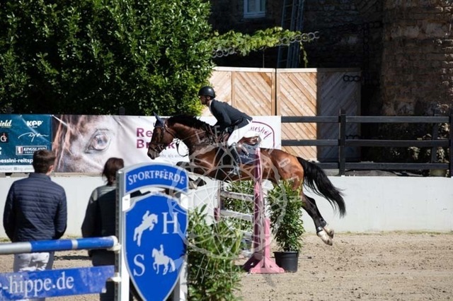 2B4A0441 | pixelfaenger - Realisiert mit Pictrs.com