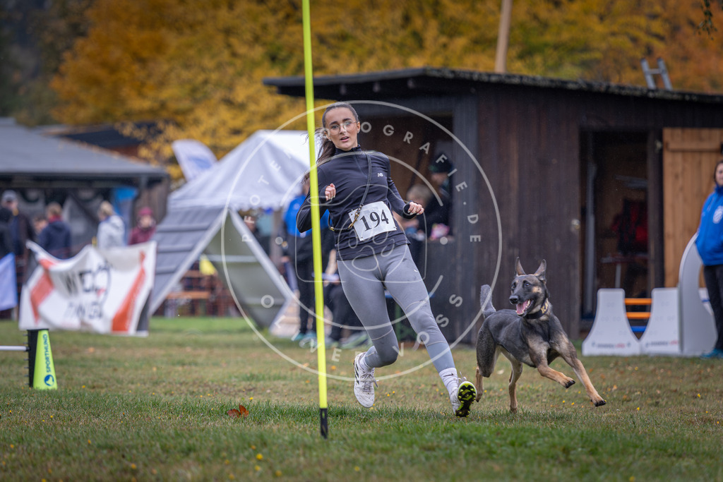 Pfotenfotografie_DV3A0677 | Hundefotografie, Tierfotograf, Pfotenfotografie, Fotoshooting Hund, Hunde Portrait, Hundesport, Hundeportraits, Heideshooting, Hunde, Sportfotograf, Hundefotograf, Turnierhundsport, THS,  - Realisiert mit Pictrs.com