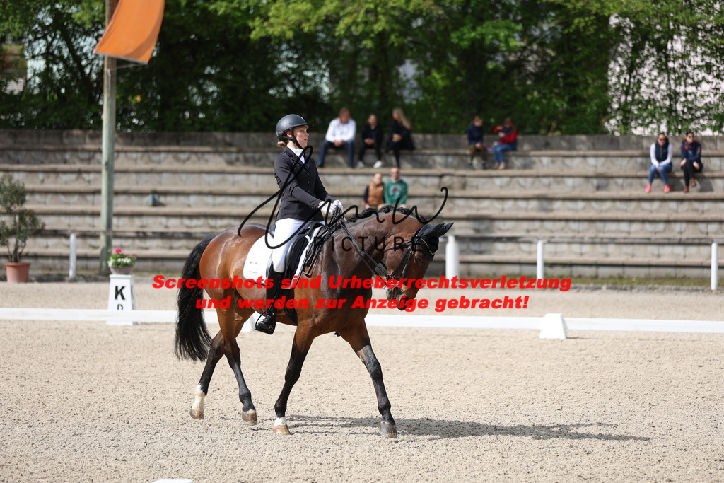 A40A4092 | lmwpictures - Realisiert mit Pictrs.com