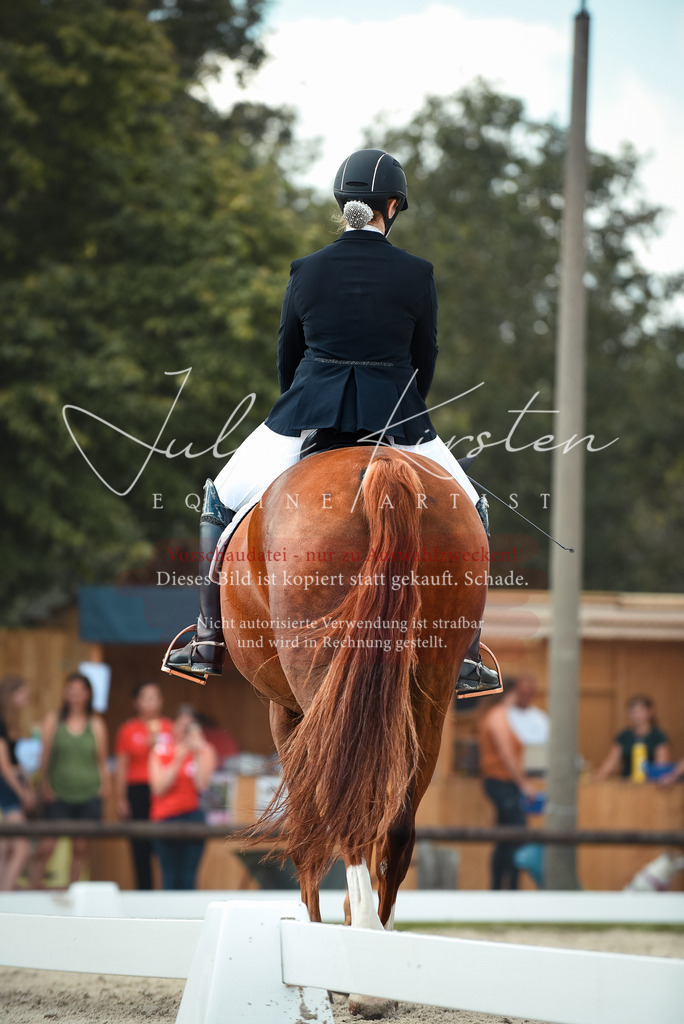 DSC_9106 | Pferde- und Turnierfotografie in Westsachsen. Pferdeportraits, Auftragszeichnungen und intuitive Kunst.
