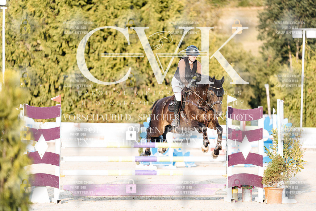CK900977 | Turnierfotografie Pferdefotografie Trier Rheinland-Pfalz Pferdesport Reitsport Tierfotografie Sportfotografie Pferdevideo Pferdevideografie Equestrianvideography equestrianphotography  - Realisiert mit Pictrs.com