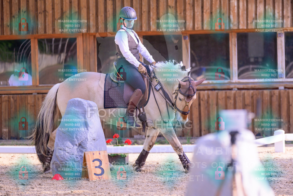 02052026-Giesenbach-03-Speedtrail-0215 | Fokus Hufschlag Fotografie - Realisiert mit Pictrs.com