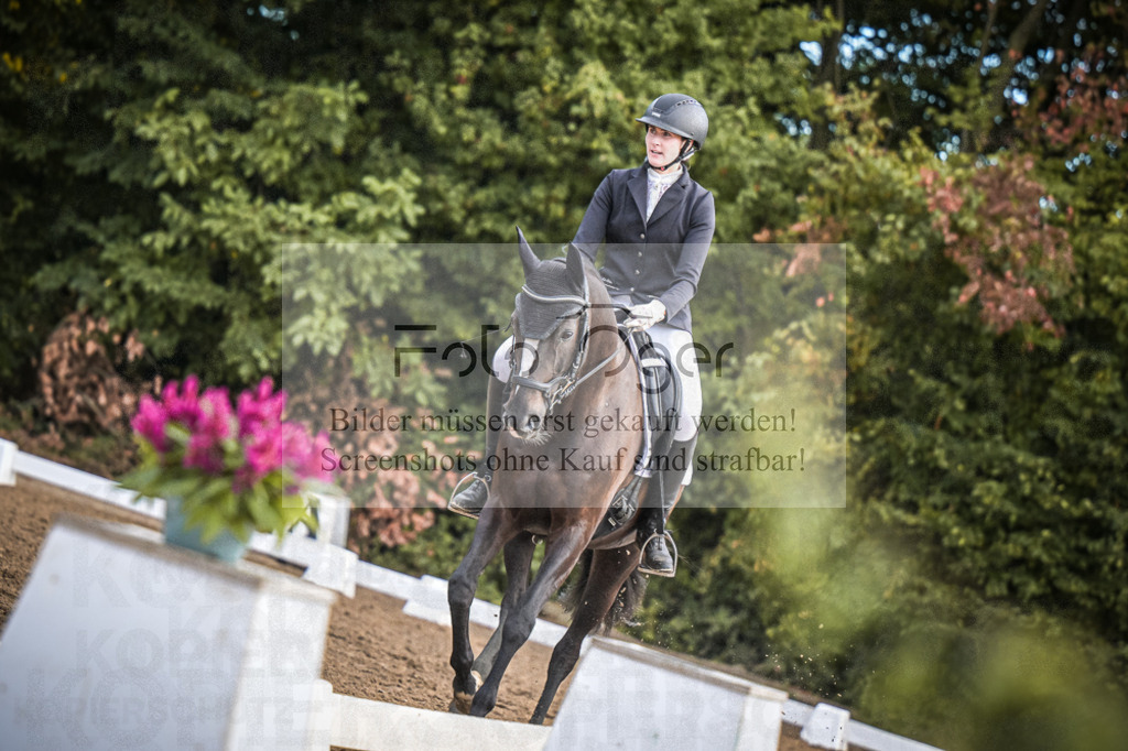DOS_1848 | Entdecke hochwertige Reitturnierfotos von Foto Oger. Professionell, emotional und authentisch – jetzt Lieblingsmomente im Shop bestellen.Deutschlandweite Turnierfotografie. - Realisiert mit Pictrs.com