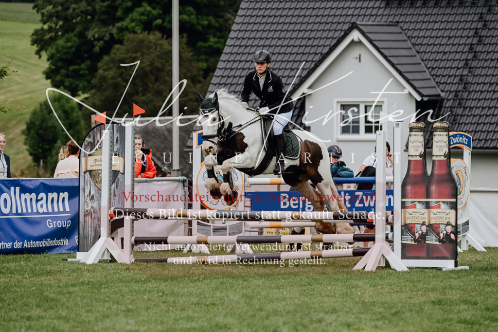 DSC_6737 | Pferde- und Turnierfotografie in Westsachsen. Pferdeportraits, Auftragszeichnungen und intuitive Kunst.