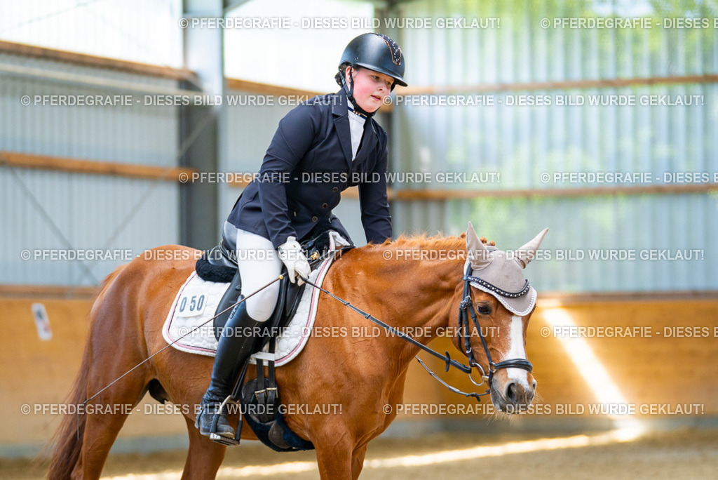 DSC08810 | Pferdegrafie