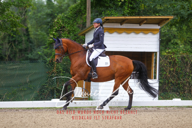 DKP41863 | Turniersportfotografie; Pferdefotografie; Dressurfotografie