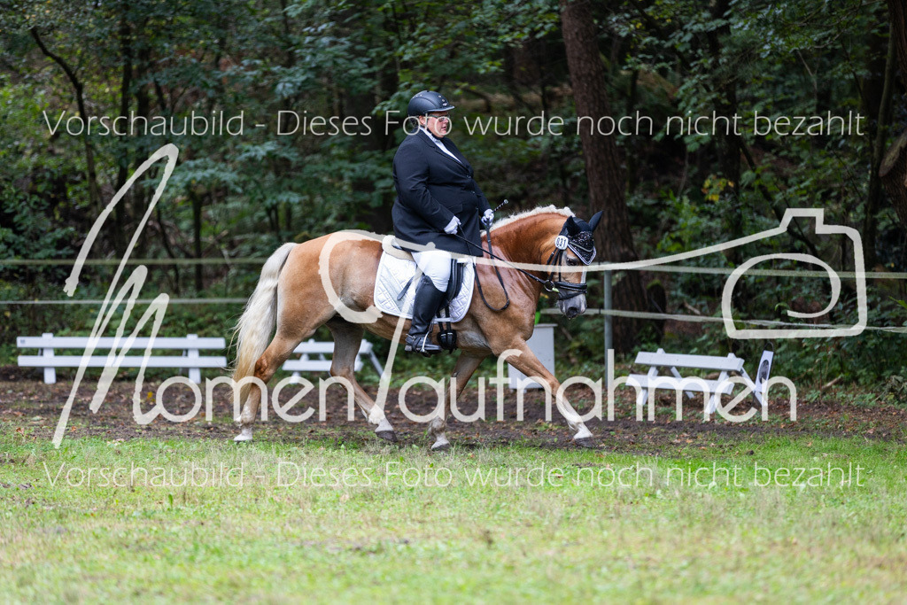 HB-A-Dressur-111 | MomenTaufnahmen Pferdesportfotos