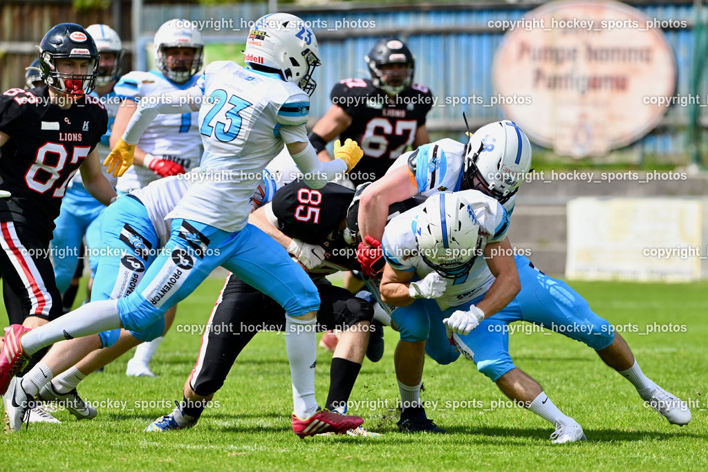 Carinthian Lions vs. Styrian Bears | Carinthian Lions vs. Styrian Bears, Carinthian Lions vs. Styrian Bears am 20.05.2024 in Klagenfurt (ASV Sportplatz), Austria, (Photo by Bernd Stefan)
