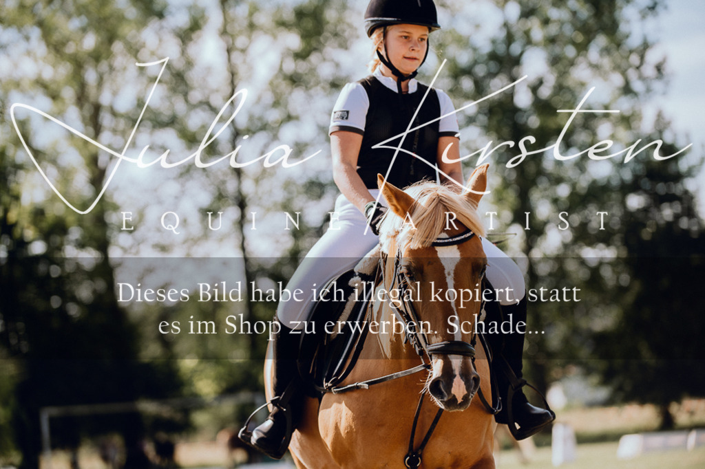 DSC_7139 | Pferde- und Turnierfotografie in Westsachsen. Pferdeportraits, Auftragszeichnungen und intuitive Kunst.