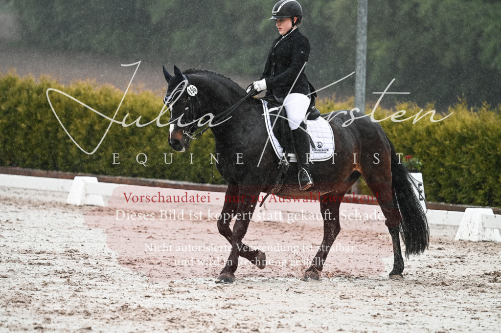 DSC_4668 | Pferde- und Turnierfotografie in Westsachsen. Pferdeportraits, Auftragszeichnungen und intuitive Kunst.