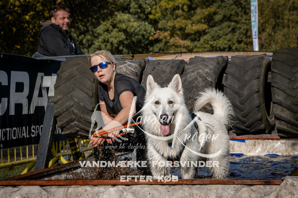 1346_ZZ92975 | kk-dogfotos