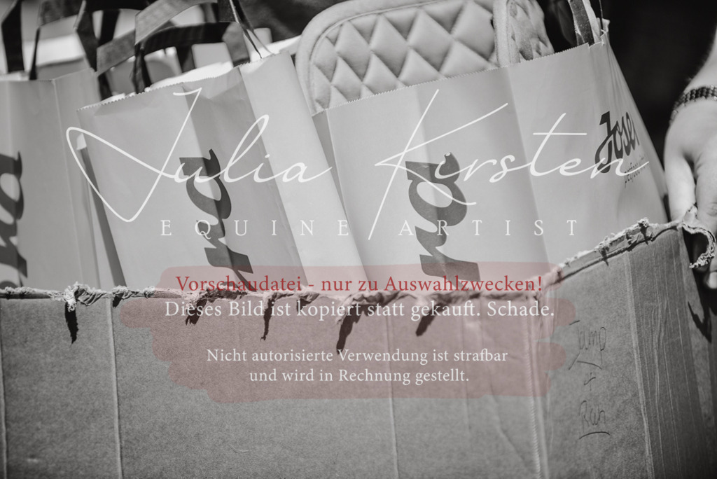 DSC_6336 | Pferde- und Turnierfotografie in Westsachsen. Pferdeportraits, Auftragszeichnungen und intuitive Kunst.