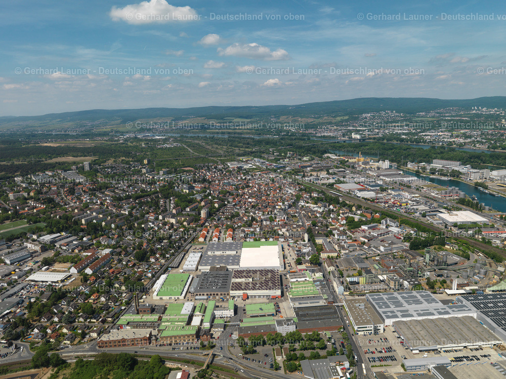 3108024 | Mombach, Mainz