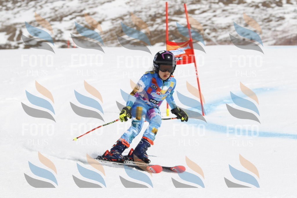 _U3G1667 | holidayphoto