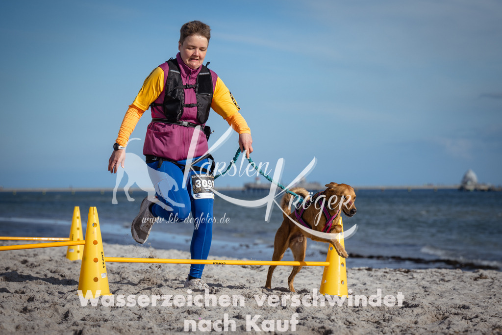 1356_ZZ94506 | kk-dogfotos