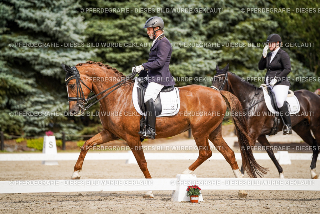 DSC05635 | Pferdegrafie