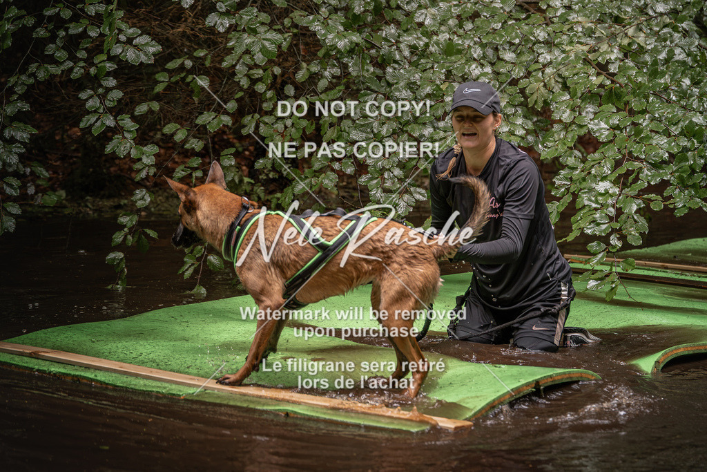nelerasche_Wingst_Sa1330-1400_81 | nelerasche