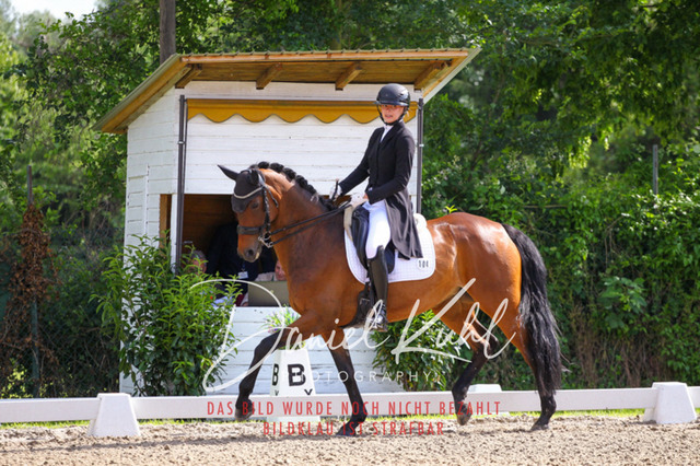 DKP41393 | Deine Turnierfotos vom Reitturnier online kaufen: Dressur, Springen & Siegerehrung. Professionelle Pferdefotografie aus dem Rheinland – als Download & Print.Alternative: Turnierfotograf für den Pferdesport: Finde deine Fotos von Dressur- und Springturnier