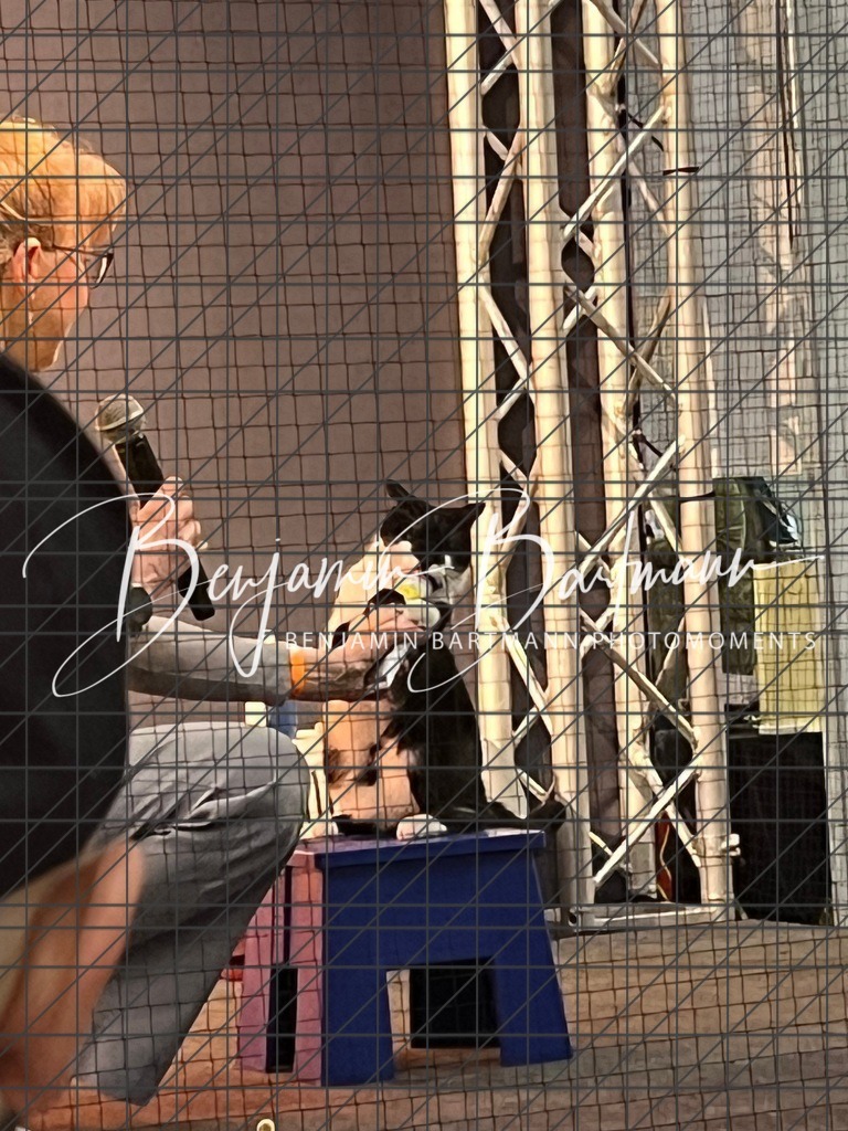 IMG_1599 | Benjamin Bartmann Photomoments