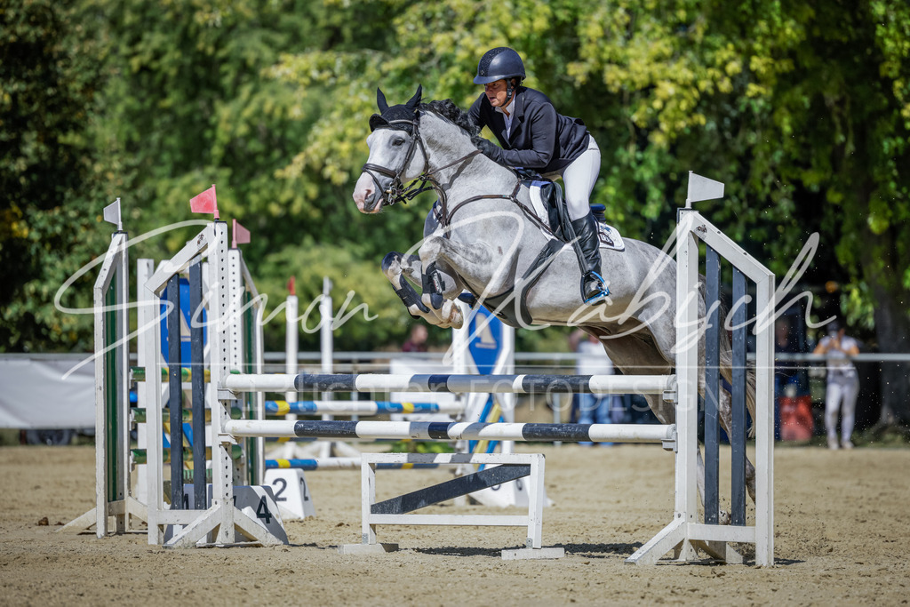 20250906-_3LI4085 | Tierfotografie Pferde, Hunde, Katzen, Haustiere.
Turnierfotografie Reitturniere, Reiten, Springreiten, Dressur in Hanau, dem Main-Kinzig-Kreis und dem Rhein-Main- Gebiet um Frankfurt