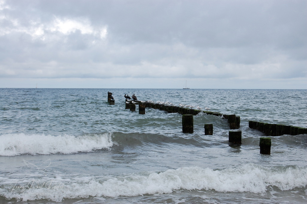 0A7AF8ED-CE55-48C6-99AC-3CF85AD51C32 | Franz Podek