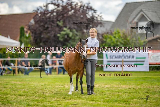 IG WELSH VM 2024-484 | mandyhollmannphotographie