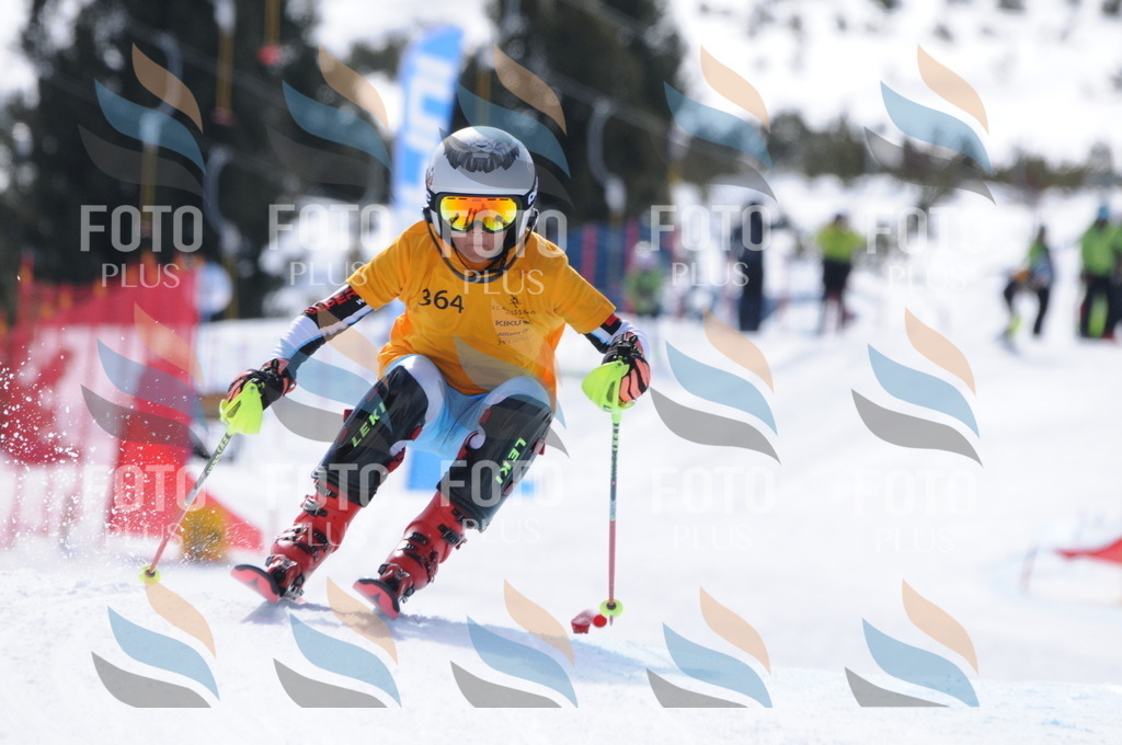 C9428 | holidayphoto