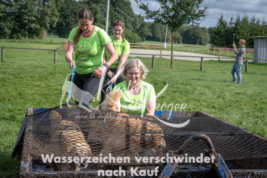 1402_ZZ90533 | kk-dogfotos