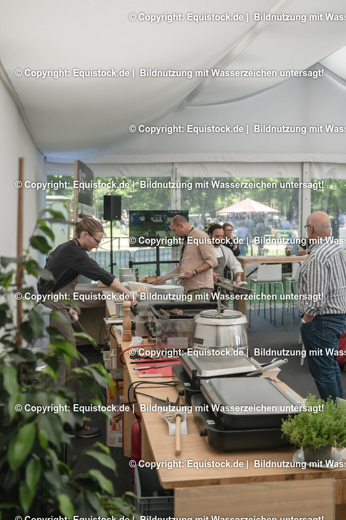 ZFC_4208 | equistock