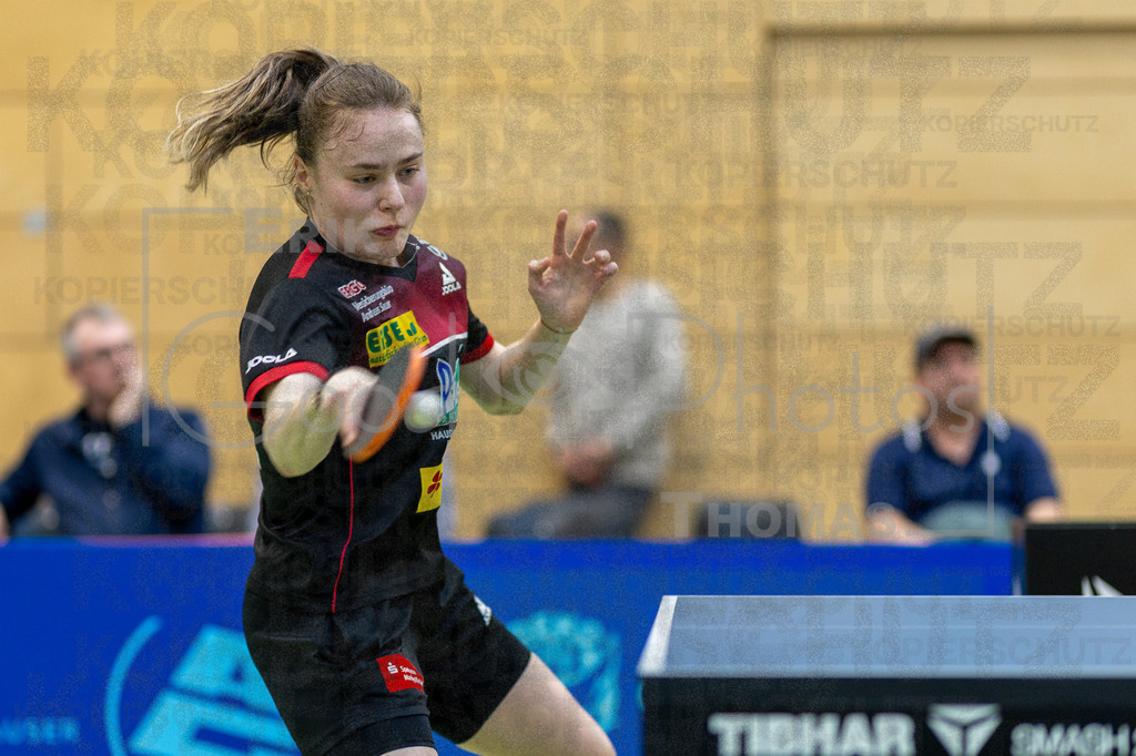 Dachau_Weil-2025-03-09_087 | good-photos - Realized with Pictrs.com