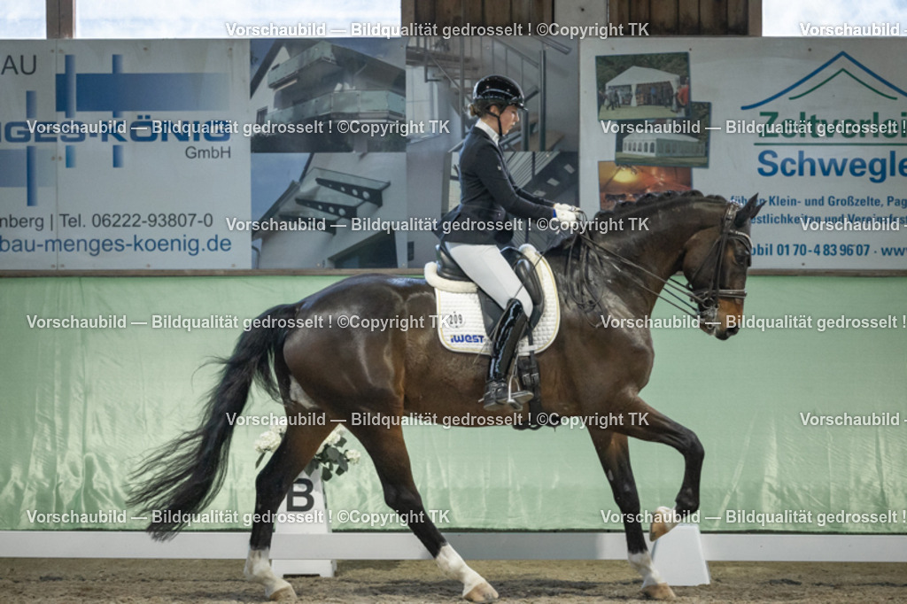 _D5A3636 | Emotionale Pferde- & People-Fotografie rund um Heidelberg, Leimen & Umgebung. Natürliche Fotos von Pferd, Mensch & Familie. Jetzt Termin sichern!