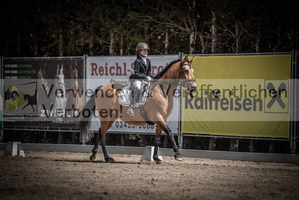 DSC_0878 | equestrian-live-com