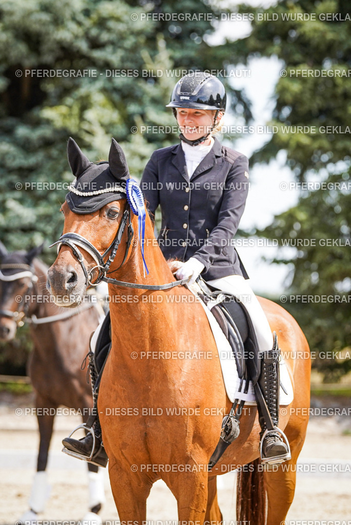 DSC02253 | Pferdegrafie