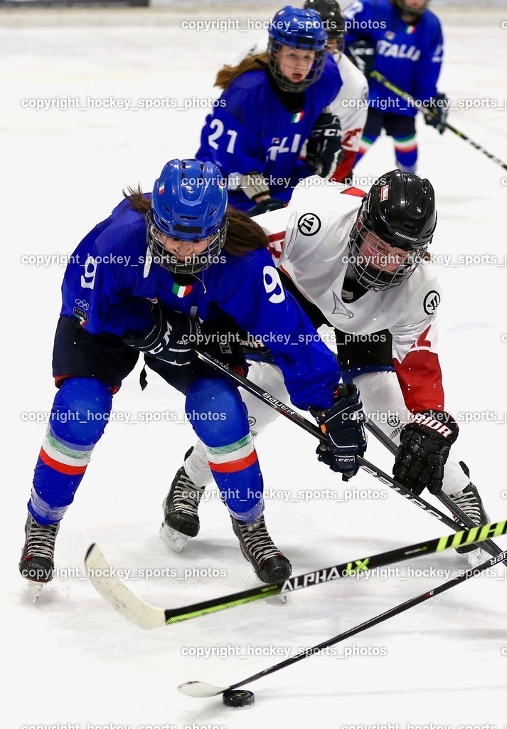 MOWE4151 | hockey sports photos, Pressefotos, Sportfotos, hockey247, win 2day icehockeyleague, Handball Austria, Floorball Austria, ÖVV, Kärntner Eishockeyverband, KEHV, KFV, Kärntner Fussballverband, Österreichischer Volleyballverband, Alps Hockey League, ÖFB, 